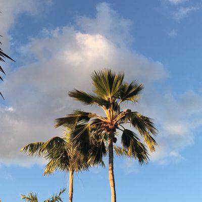 Photo of Patricia W.