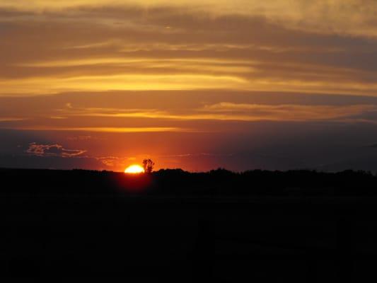 Photo of Dawn C.