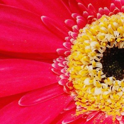 photo of Vineyard L.