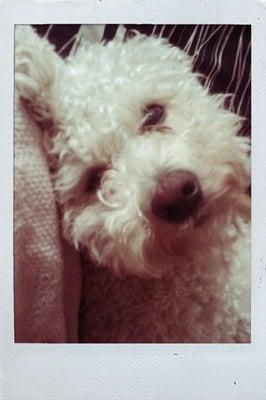 Photo of Danielle G.