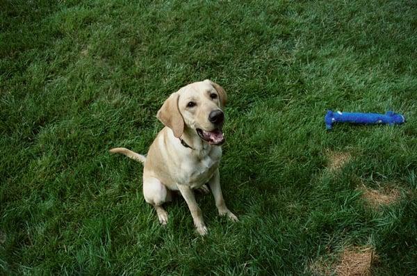 Photo of Charlie S.