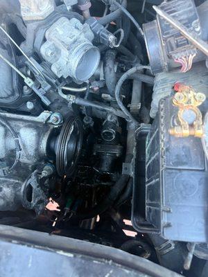 photo of Leillany R.