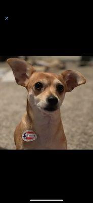 photo of Alejandro R.