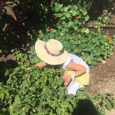 photo of Elizabeth S.