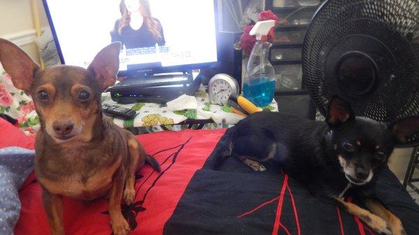 photo of Mili-Lani D.