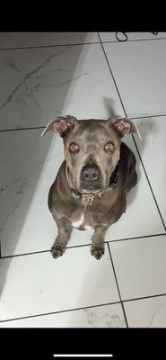 photo of GhosteeGoon S.