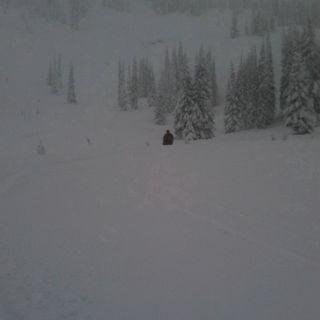 Photo of Andy G.