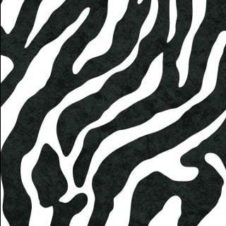 photo of Elizabeth Z.