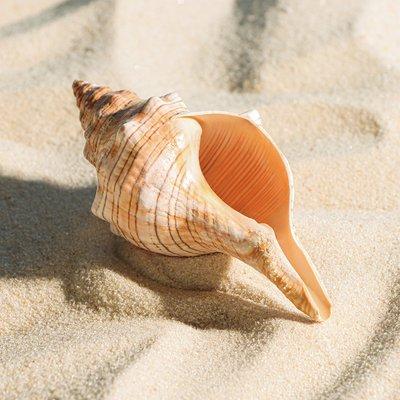 photo of Kusparmakov F.