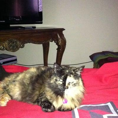 Photo of Cindy R.