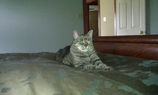 Photo of Michelle H.