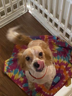 Photo of Bridgette C.