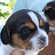 photo of Anna Maria Y.