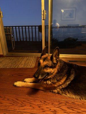 photo of Alexander C.