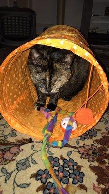 photo of Jennifer M.