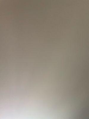 photo of Allessandro A.