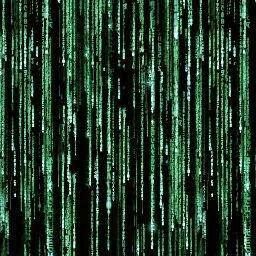 photo of Juan Carlos D.