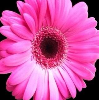 Photo of Jacqueline G.