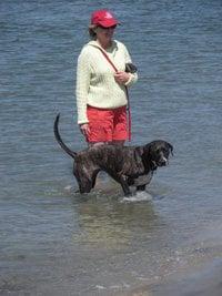 Photo of Kathy R.
