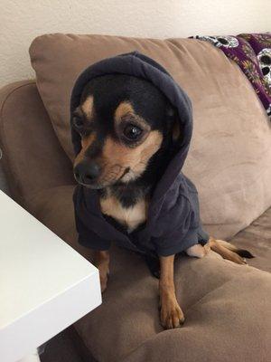 photo of Michelle C.