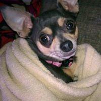Photo of Hope S.