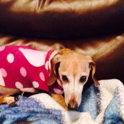 photo of Jennifer A.