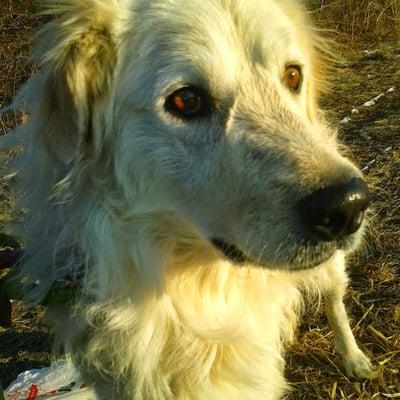 photo of Michelle M.