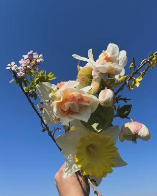 photo of Essie Day O.