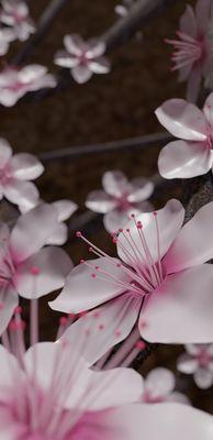 photo of Christine R.