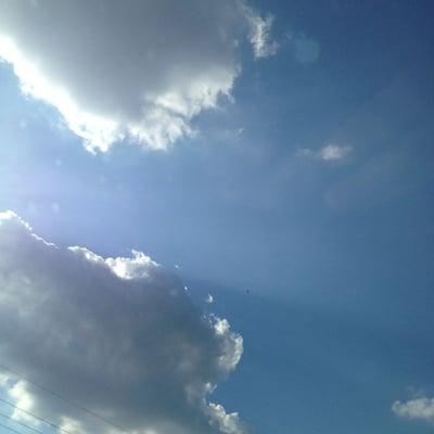Photo of A P.