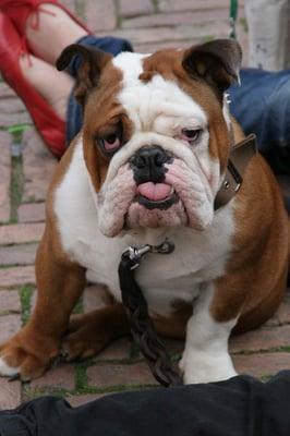 photo of Jeannette P.