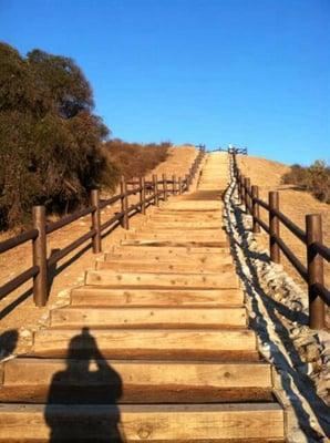 photo of Jennifer M.