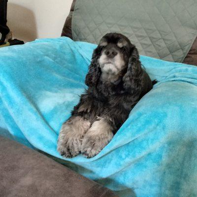 Photo of Penny S.