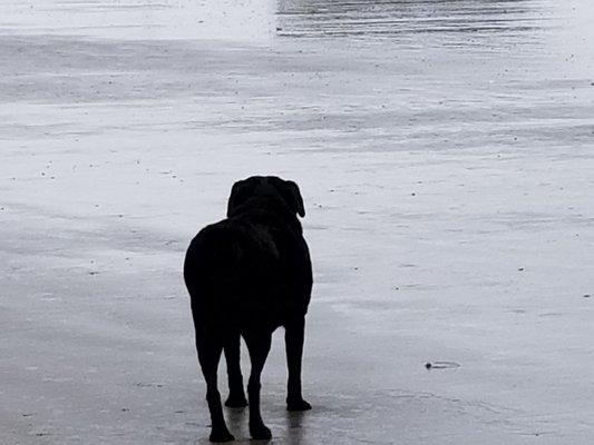 photo of Victoria H.