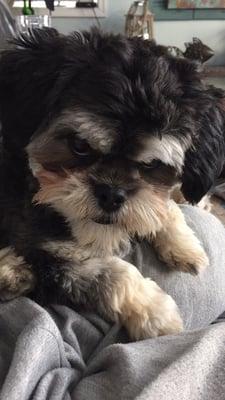 Photo of jack m.
