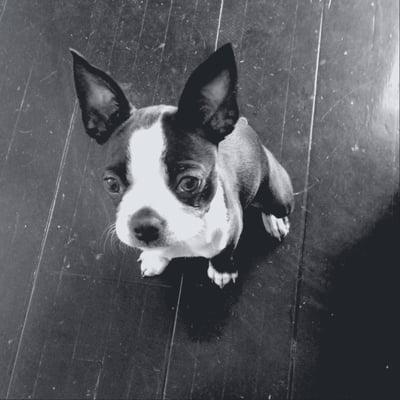 Photo of Roona B.