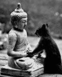 photo of Jennifer M.