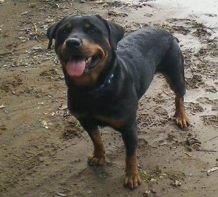 photo of Heather C R.