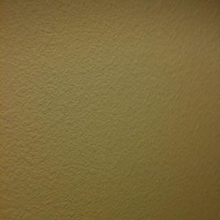 Photo of Pascale D.
