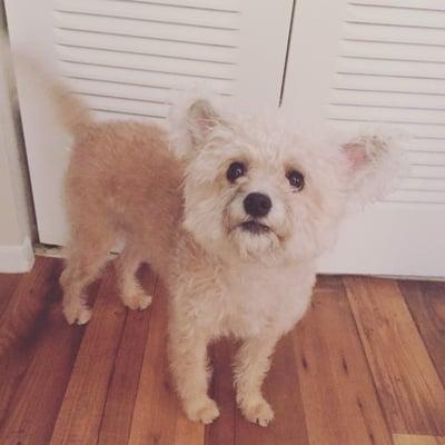 photo of Stephanie C.