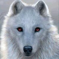 photo of Robynand S.