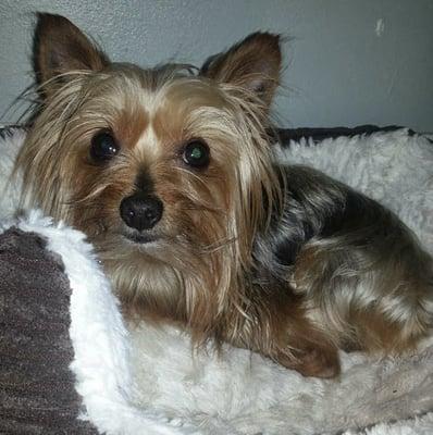 photo of Alexandra T.