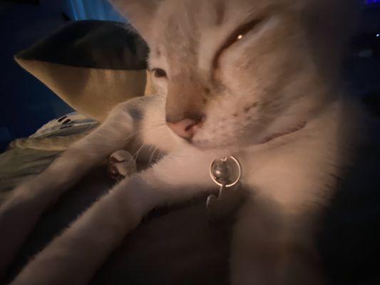 Photo of Isabella R.