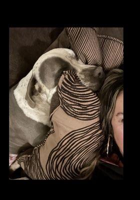 photo of Stephanie L.