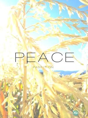 photo of Stephanie K.