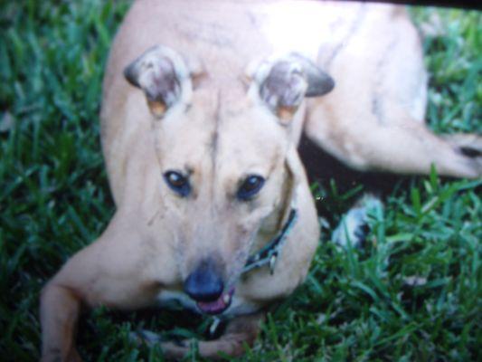 photo of Marianne M.