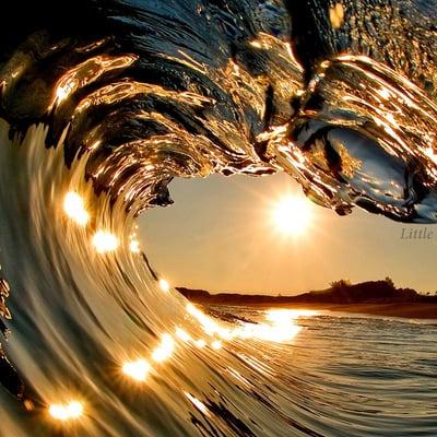 photo of Elizabeth M.