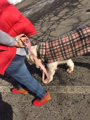 Photo of Constance B.