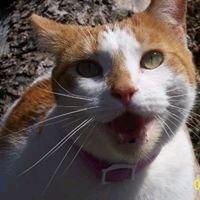 Photo of Amy D.