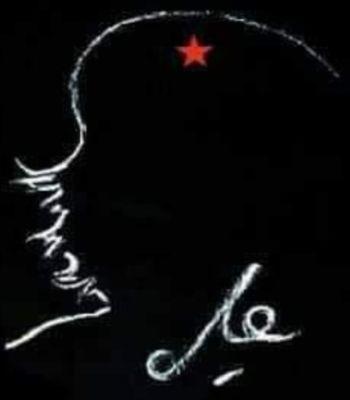 Photo of Che M.